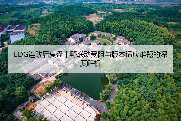 EDG连败后复盘中野联动受阻与版本适应难题的深度解析